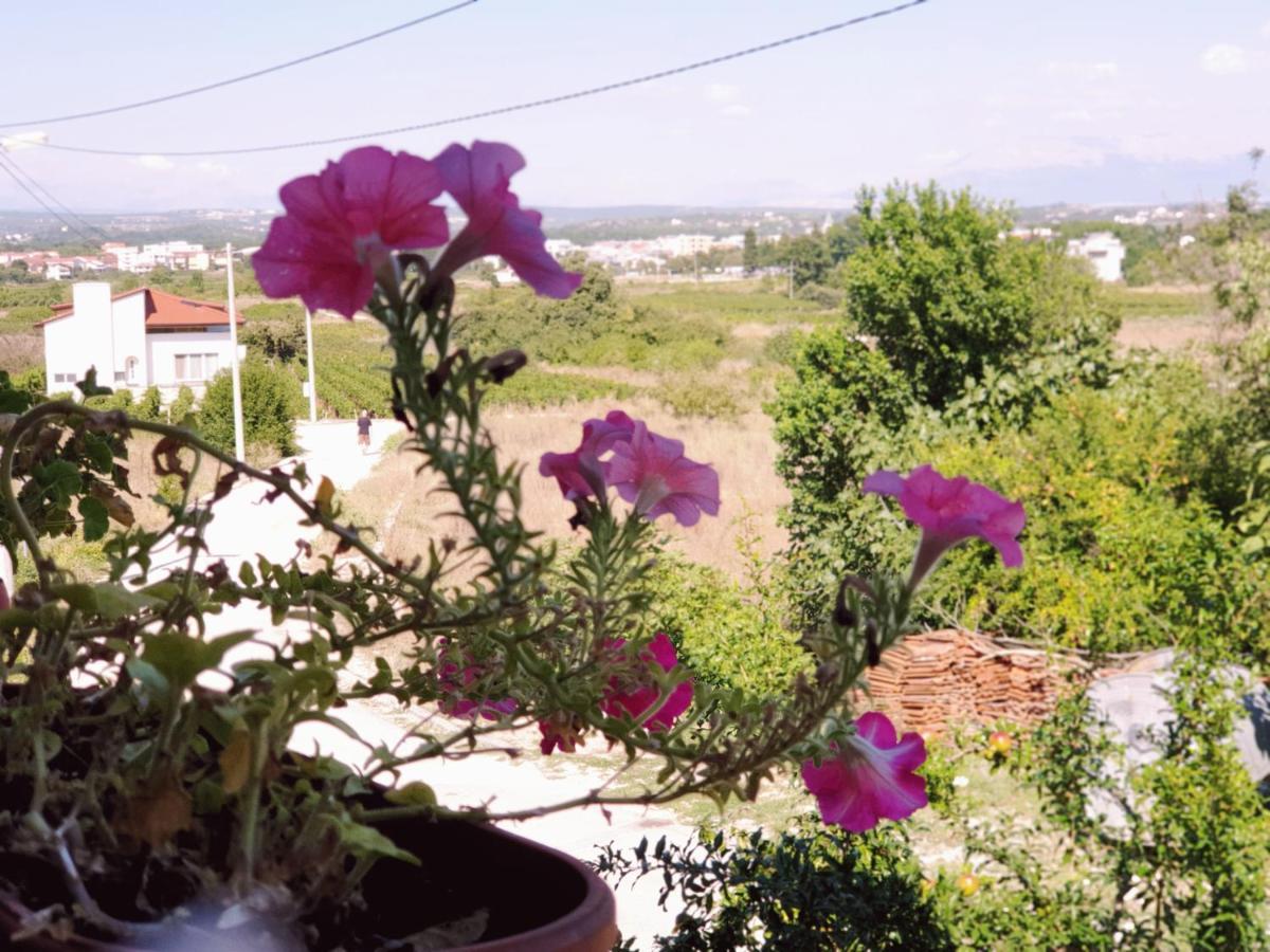 Appartement Delia à Međugorje Extérieur photo